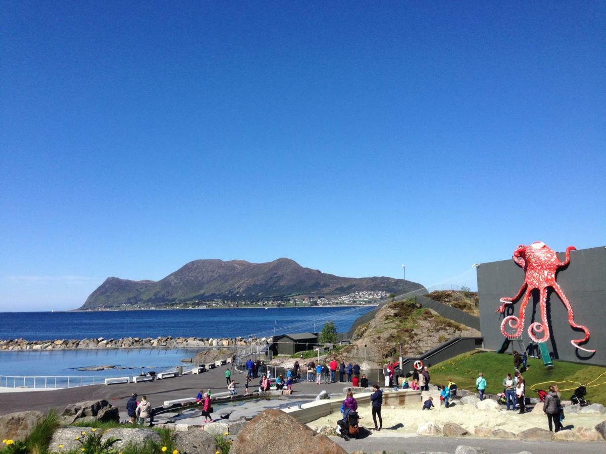 Four Monkeys Ålesund Exterior foto